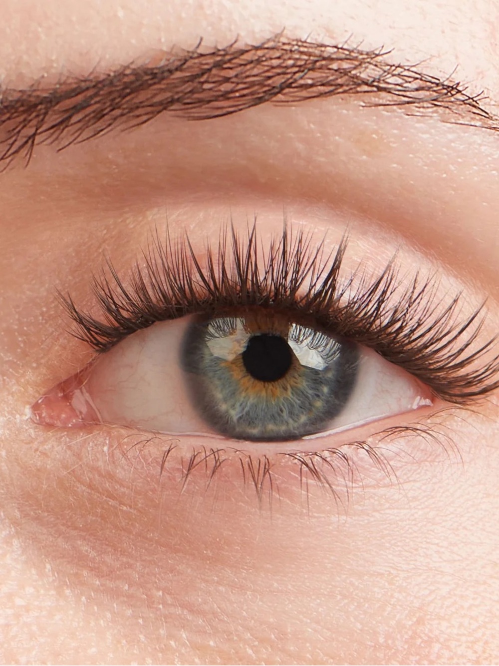 Lilac St French Lace Lash Clusters - NIB 12mm & 14mm